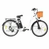 New ✔️ DYU C6 Electric Bicycle 350W Motor Max Speed 25km/h 36V 12.5AH 70km Max Range - White 🥰