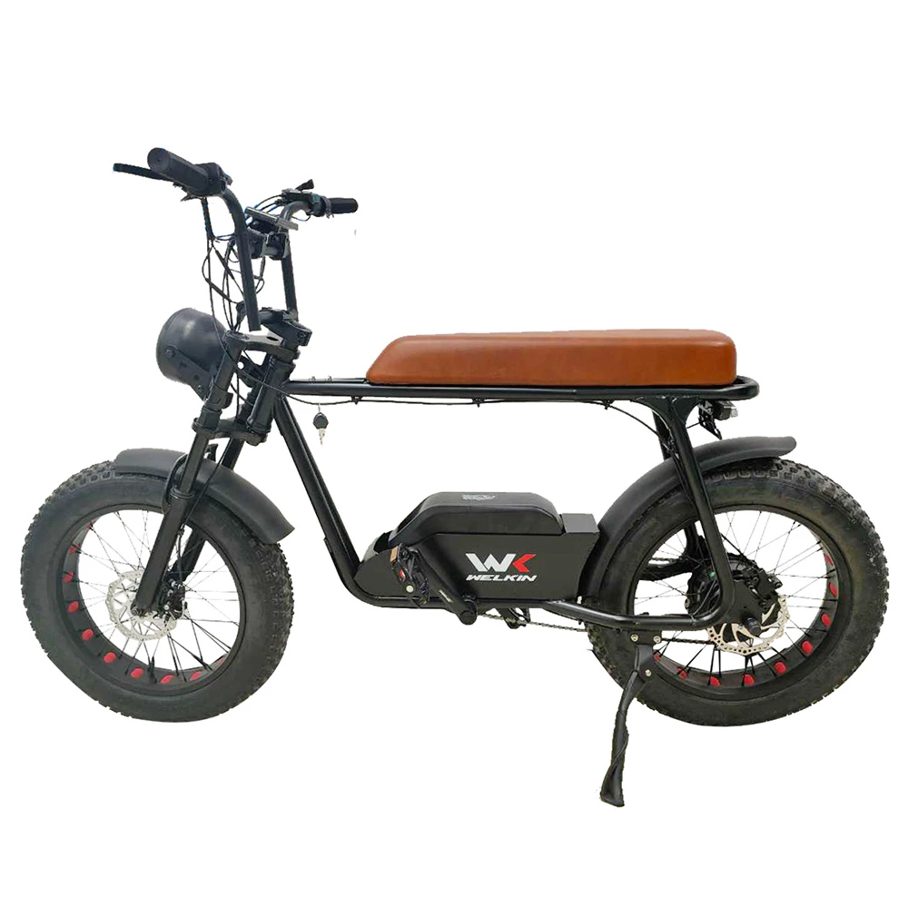 Best reviews of ๐ WELKIN WKEM003 Electric Bike 20*4.0 Inch Fat Tires Retro Bicycle 1200W Motor 48V 18Ah Battery 60-70KM Range 45Km/h Max Speed 200KG Max Load - Black ๐ฅฐ